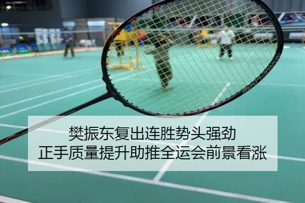 樊振东复出连胜势头强劲 正手质量提升助推全运会前景看涨