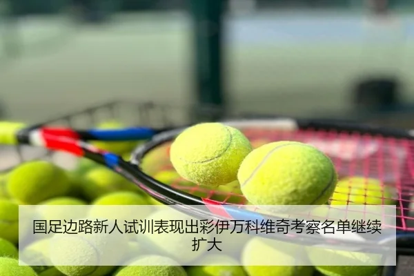 国足边路新人试训表现出彩伊万科维奇考察名单继续扩大